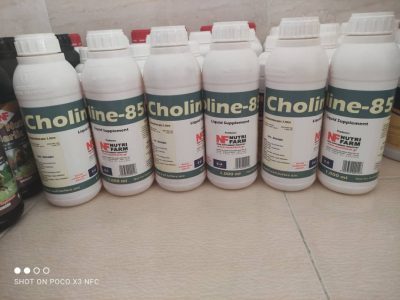 مکمل گاو و گوساله Choline850