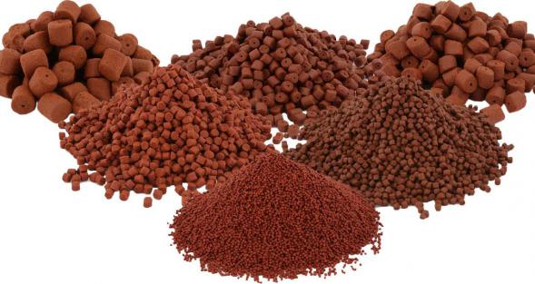 تغذیه ی صحیح ماهی