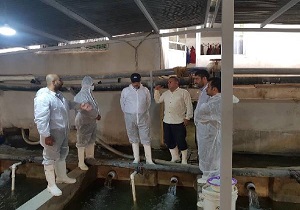 ضدعفونی کننده آبزیان